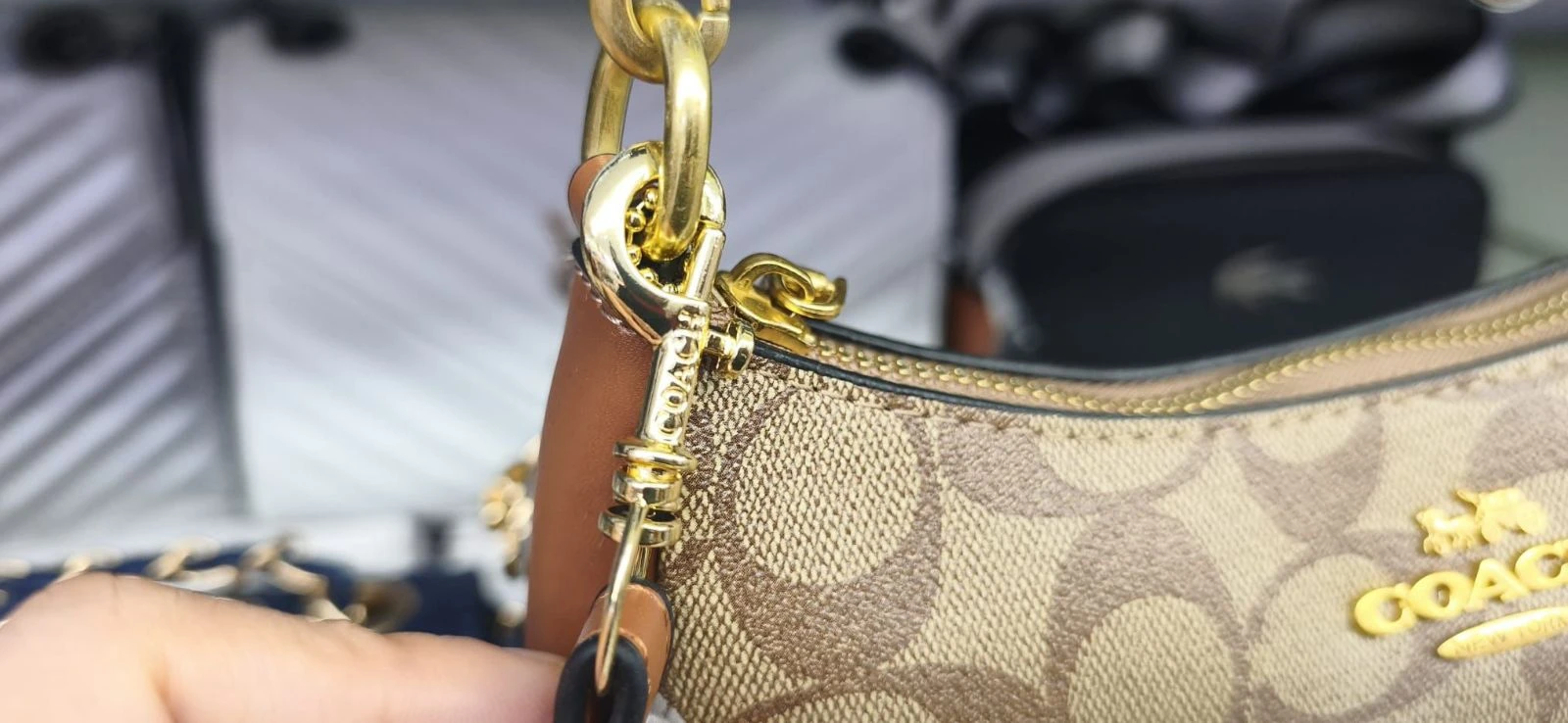 Tas – photo 3